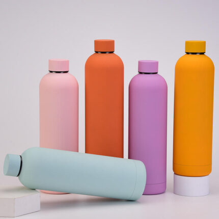 Stainless Steel Water Bottle